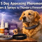 Top 5 Dog Appeasing Pheromone Collars & Sprays for Thunder & Fireworks